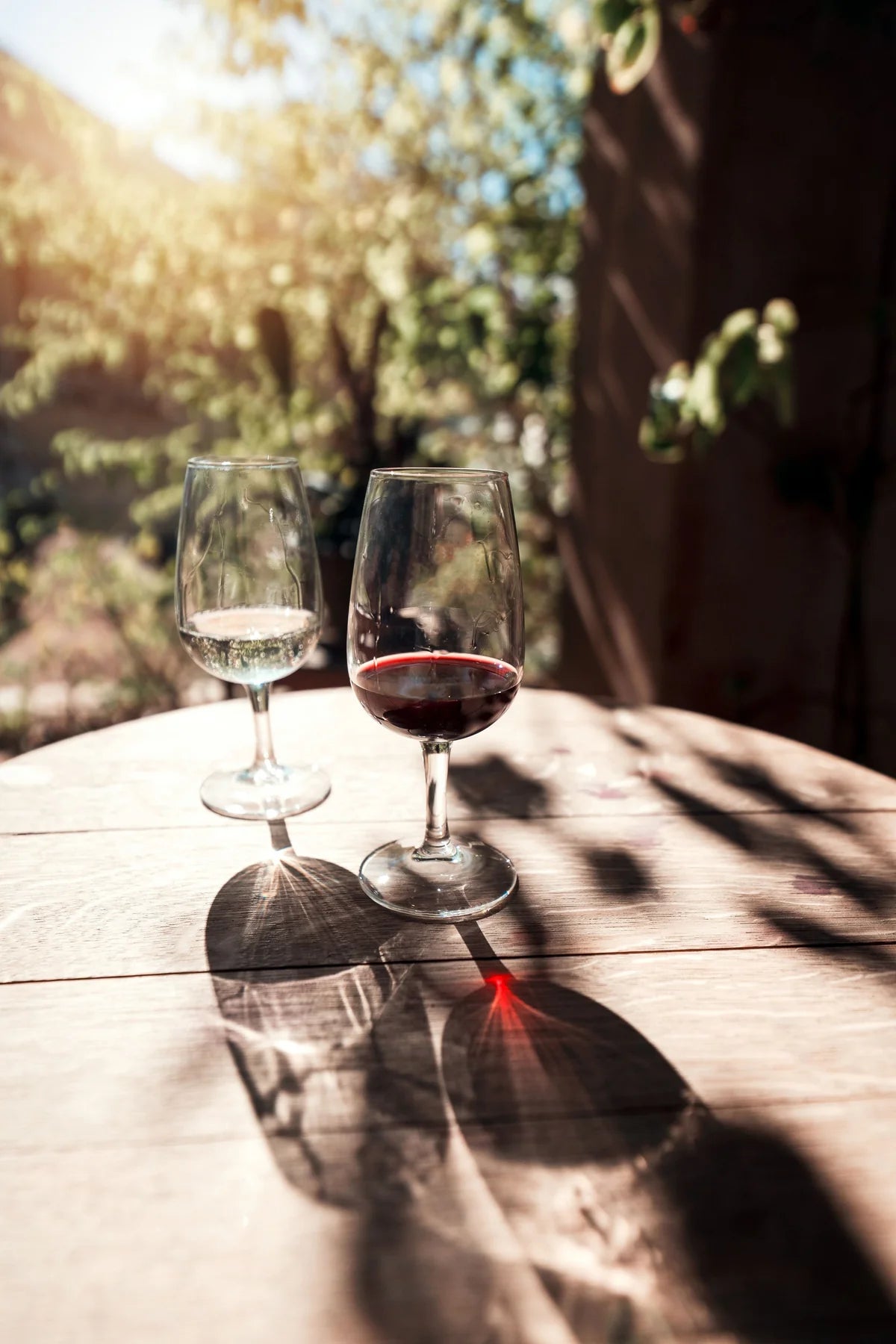 6 Percent Wine